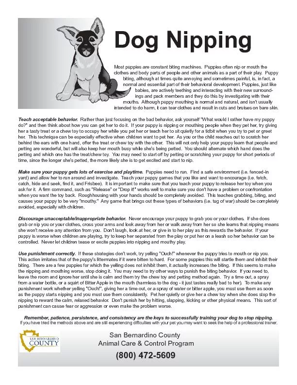 Dog NippingSan Bernardino CountyAnimal Care & Control Program(800) 472