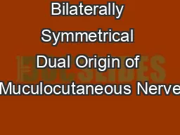 Bilaterally Symmetrical Dual Origin of Muculocutaneous Nerve