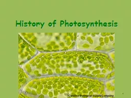History of Photosynthesis
