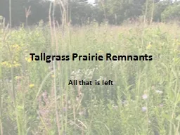 Tallgrass Prairie Remnants