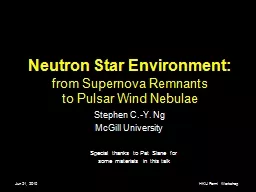 Neutron Star Environment: