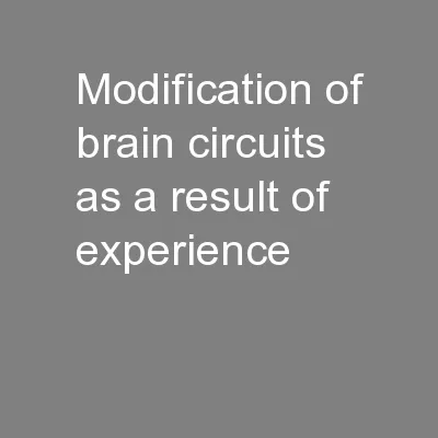 Modification of brain circuits as a result of experience