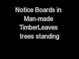Notice Boards in Man-made TimberLeaves trees standing