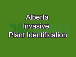 Alberta Invasive  Plant Identification