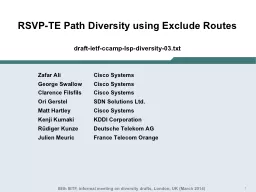 RSVP-TE Path Diversity