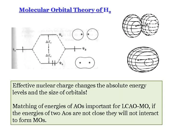 Molecular Orbital Theory of