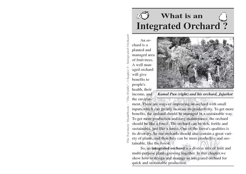 Chapter 5 - Integrated Orchard