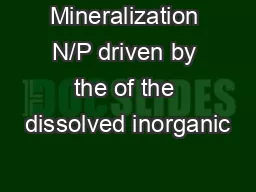 Mineralization N/P driven by the of the dissolved inorganic