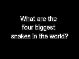 What are the four biggest snakes in the world?