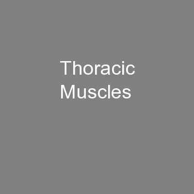 Thoracic Muscles