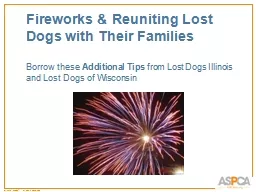 Fireworks & Reuniting Lost Dogs with Their