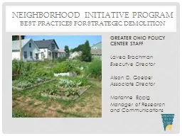 Neighborhood initiative program