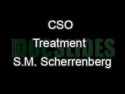 CSO Treatment  S.M. Scherrenberg