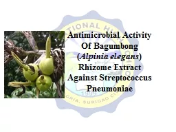 Antimicrobial Activity Of