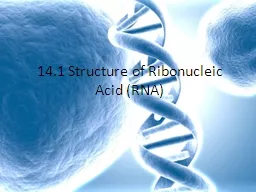 14.1 Structure of Ribonucleic Acid (RNA)