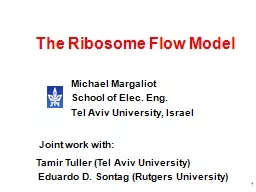 1 The Ribosome Flow Model