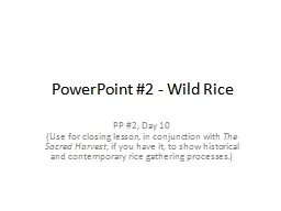 PowerPoint #2 - Wild