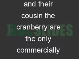 Ke ys for Success Blueberries Blueberries and their cousin the cranberry are the only