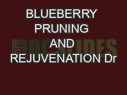 BLUEBERRY PRUNING AND REJUVENATION Dr