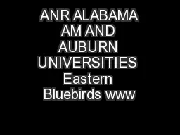 ANR ALABAMA AM AND AUBURN UNIVERSITIES Eastern Bluebirds www