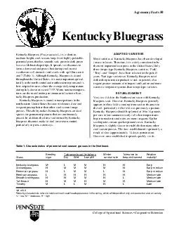 College of Agricultural Sciences Cooperative Extension Agronomy Facts  Kentucky Bluegrass