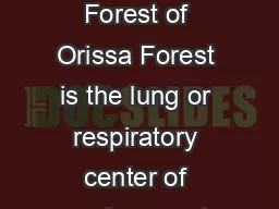 Orissa Review  April   ildlife and Forest of Orissa Forest is the lung or respiratory