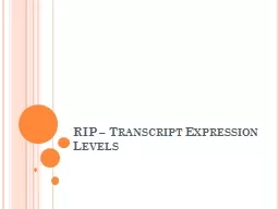 RIP – Transcript Expression Levels