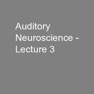 Auditory Neuroscience - Lecture 3
