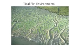 Tidal Flat Environments