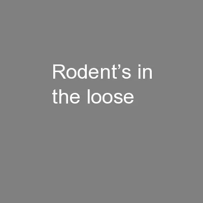 Rodent’s in the loose