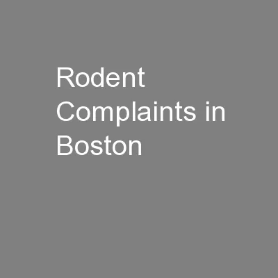 Rodent Complaints in Boston