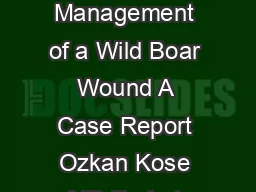 CASE REPORT Management of a Wild Boar Wound A Case Report Ozkan Kose MD Ferhat Guler MD Ali B