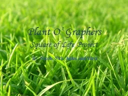 Plant O’ Graphers