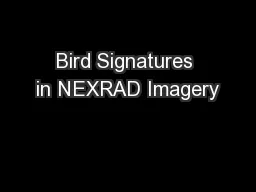 Bird Signatures in NEXRAD Imagery