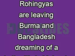 Thousands of stateless Rohingyas are leaving Burma and Bangladesh dreaming of a better