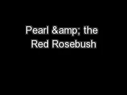 Pearl & the Red Rosebush