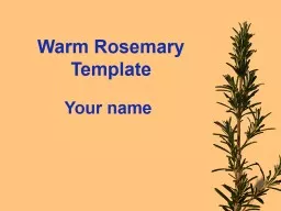 Warm Rosemary Template