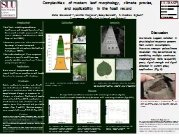 Complexities of modern leaf morphology, climate proxies,