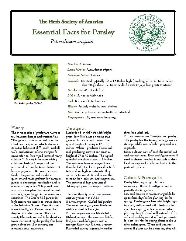 Essential acts for ParsleyPetroselinum crispumFamily:  Apiaceae Latin