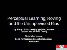 Perceptual Learning, Roving and the Unsupervised Bias