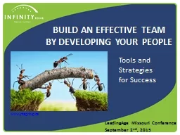 Build an Effective Team