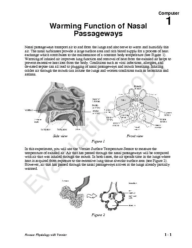 Computer Human Physiology with VernierPassageways Nasal passageways tr