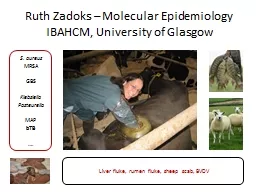 Ruth Zadoks – Molecular Epidemiology