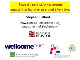 Type II restriction enzymes searching for one site and then