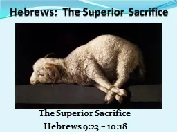 Hebrews:  The Superior Sacrifice