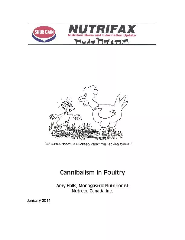 Are Your Birds Hen-Pecked?  Pecking and Cannibalism in Poultry Amy E.