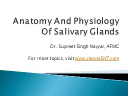 Anatomy And Physiology Of Salivary Glands