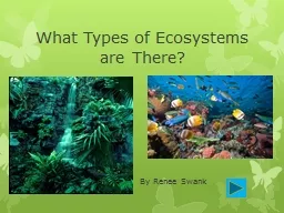 What Types of Ecosystems are There?