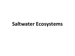 Saltwater Ecosystems