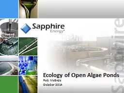 Ecology of Open Algae Ponds